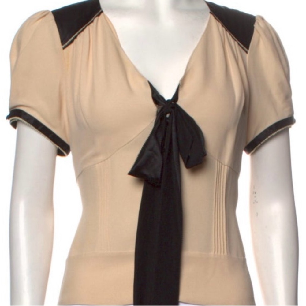 •   Beautiful Silk Crop Top in Neutral color, Short Sleeve with V-Neck